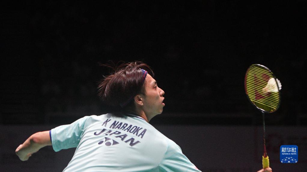 历史与案例 历史与案例